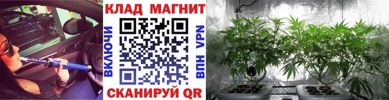 Что такое Юрьев-Польский КОКАИН  Галлюциногенные грибы  МЕФ  ГАШ  Канабис 