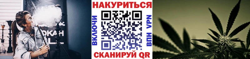 kraken онион  Юрьев-Польский  Бошки Шишки план 